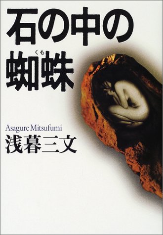『石の中の蜘蛛』（集英社）