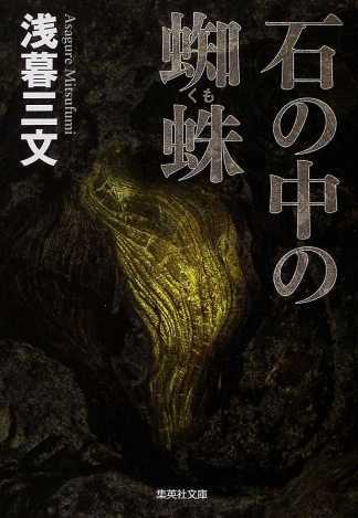 『石の中の蜘蛛』（集英社文庫）